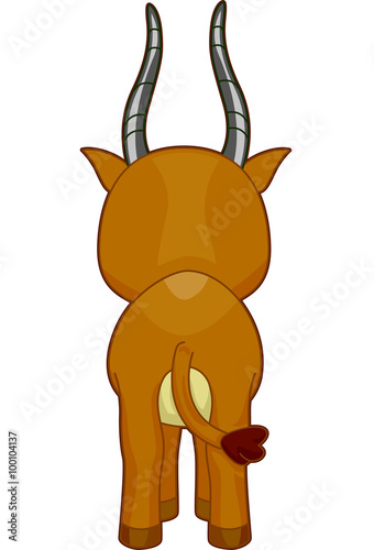 Gazelle Back