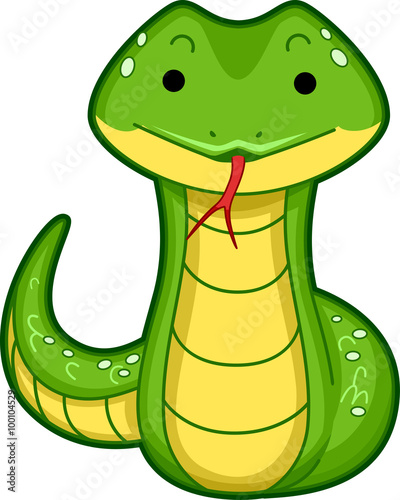 Snake Front
