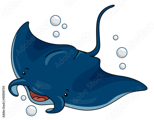 Manta Ray