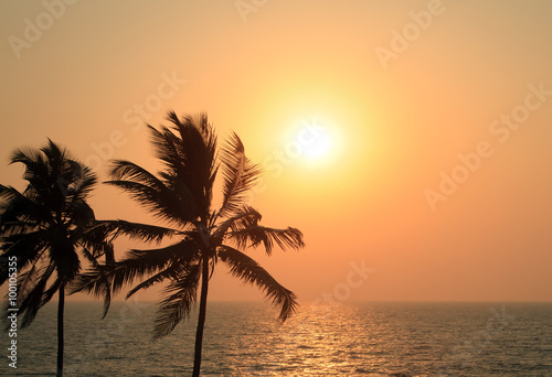 Palm Trees Silhouette At Sunset
