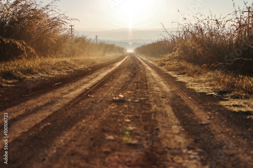 Dirt Road in the Morning