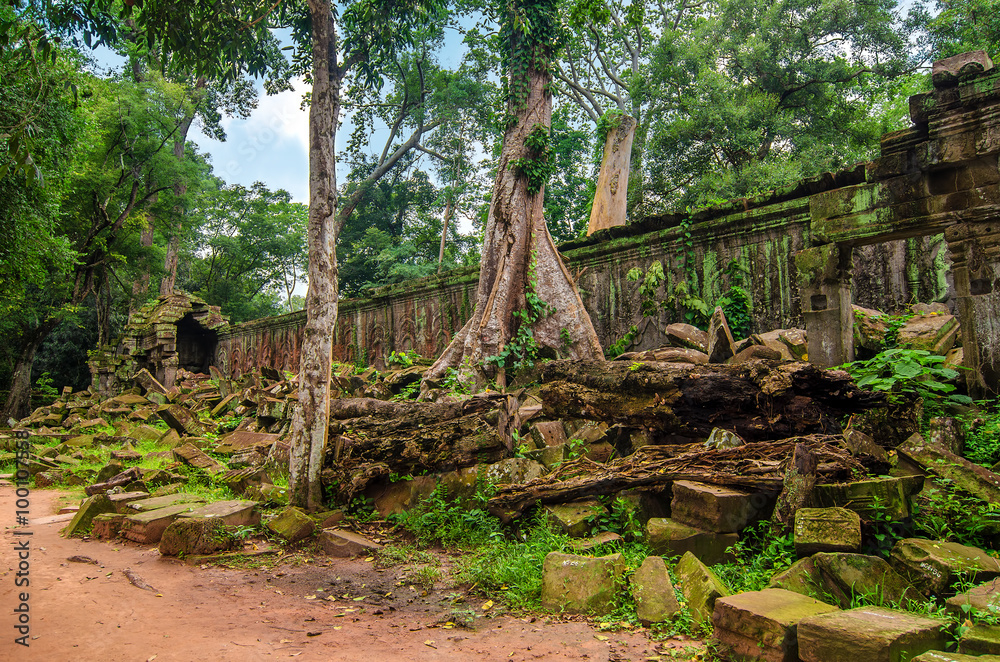 Damage wall stones in dense jungle. Angkor, Cambodia. Damage wall stones in dense jungle. Angkor, Cambodia.