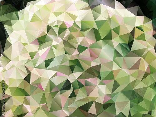 Polygonal Mosaic Background, Vector illustration,  Creative  Business Design Templates