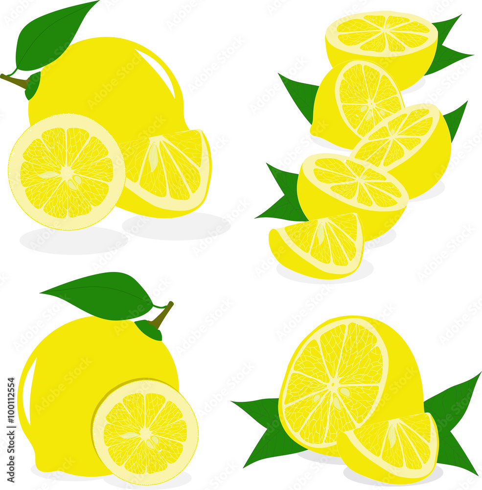 Lemon slices, collection of vector illustrations on a transparent background Lemon slices, collection of vector illustrations on a transparent background