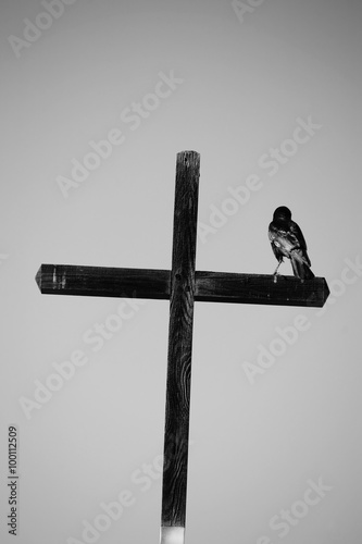 Rabe sitzt auf Kreuz / Ein schwarzer Rabe sitzt auf einem schwarzen christlichen Holzkreuz. photo