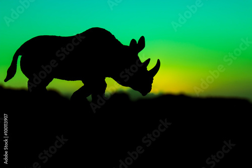 rhinoceros on sunset background © napatcha