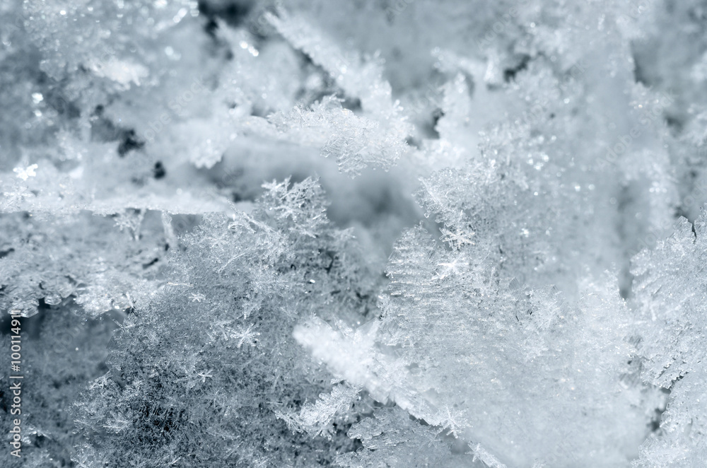 Snow crystals close-up Snow crystals close-up