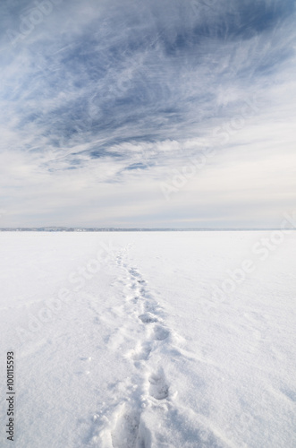 ice desert winter landscape © dumiceava