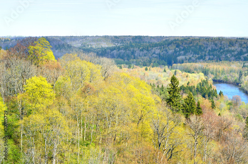spring landscape in Sigulda, Latvia
