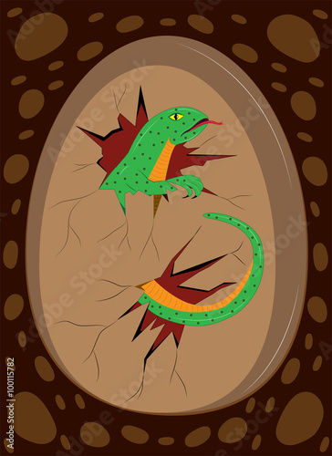 The kid of a lizard hatches from egg.