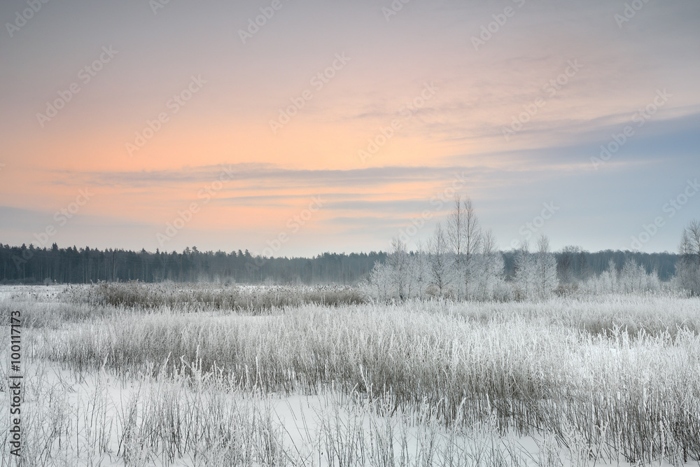 winter landscape with hoar-frost at the sunrise