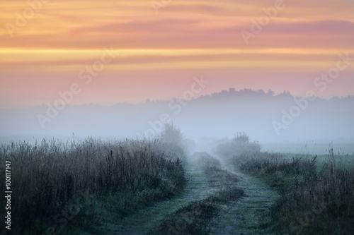 Colorful sunrise at the field with morning fog