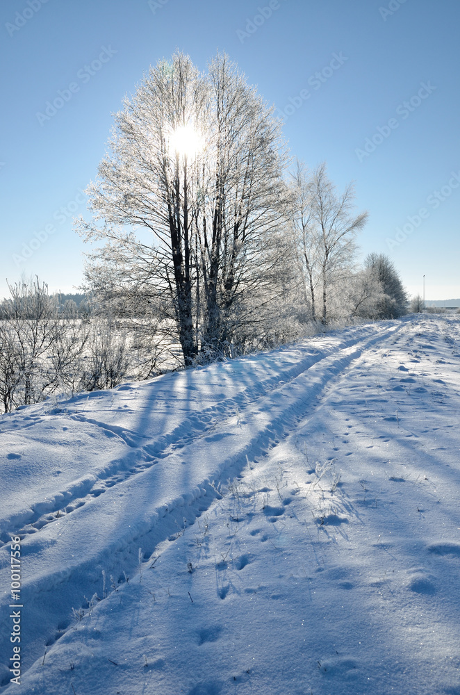 winter countryside view winter countryside view