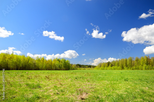 Fototapeta Naklejka Na Ścianę i Meble -  classical meadow landscape