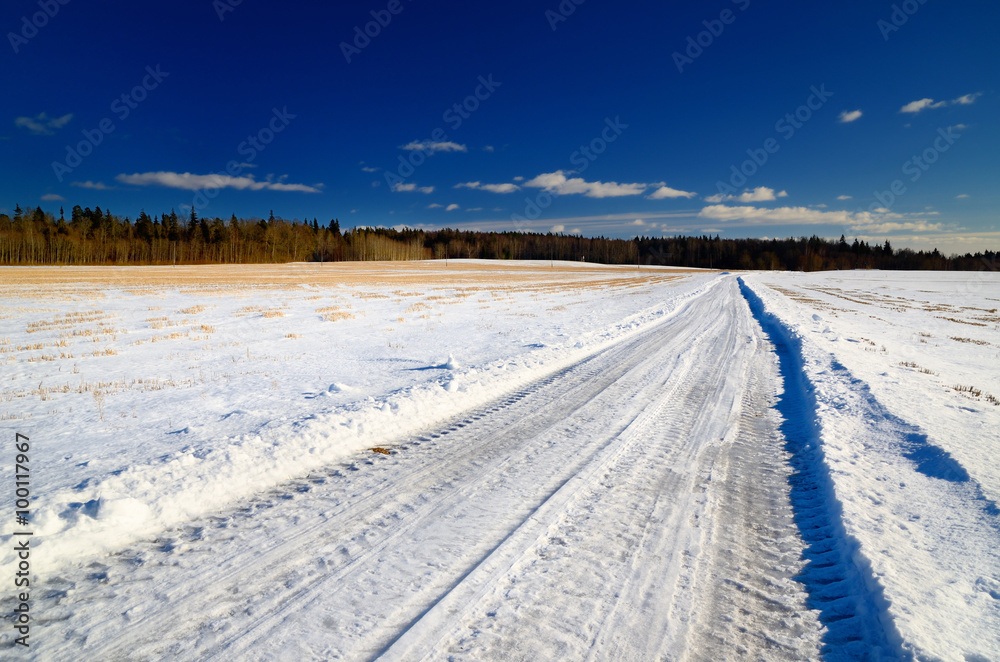 classic winter scene of a road in rural area