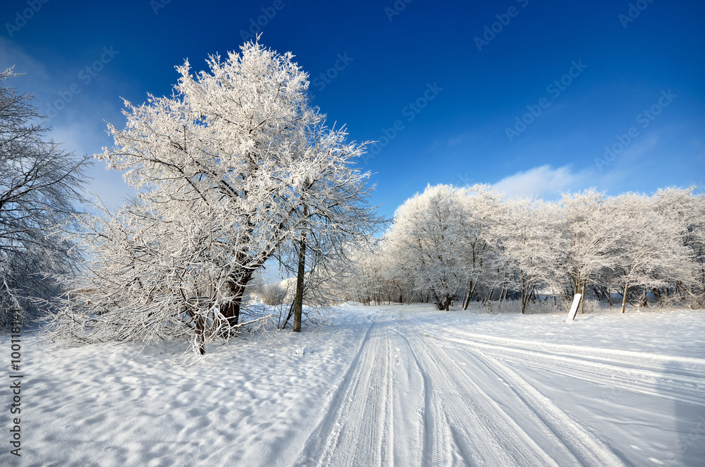 Fototapeta premium road and hoar-frost on trees in winter