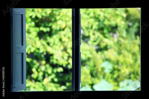 Fototapeta otwarte okno z zielonym zewnątrz