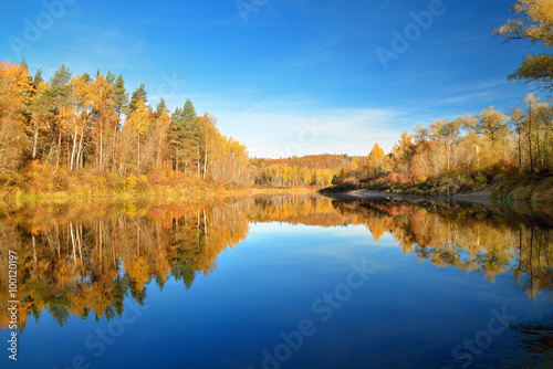 Autumn river Gauja in Sigulda, Latvia. Landscape with reflection