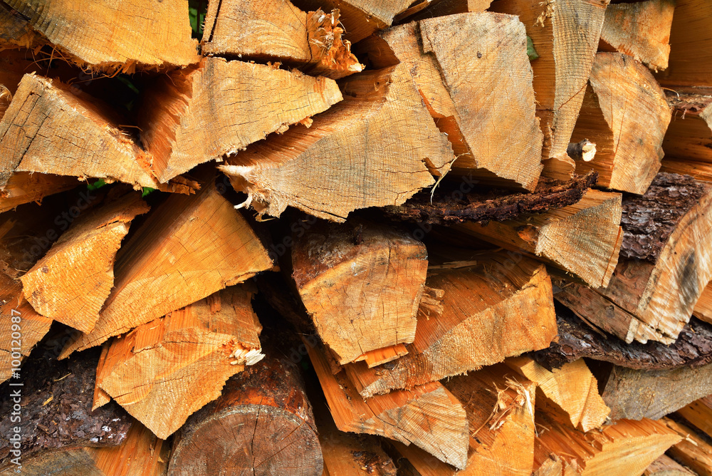 freshly made firewood in the forest freshly made firewood in the forest