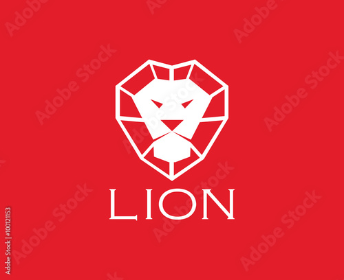 Fototapeta Naklejka Na Ścianę i Meble -  Vector images of lion head design on red background.