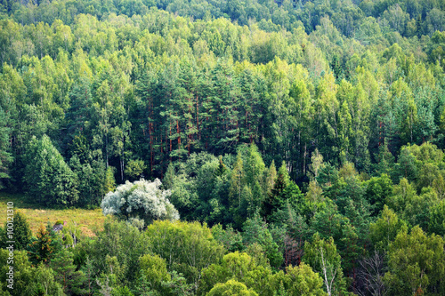 Forest covered hills in Latvia