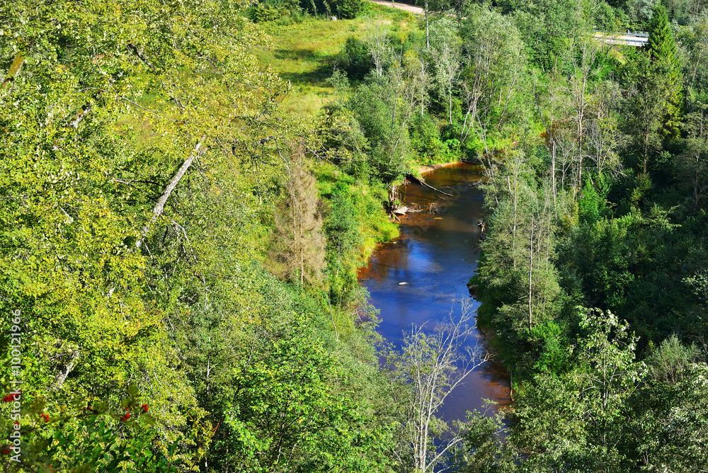 Amata river valley in Gauja national park, Latvia