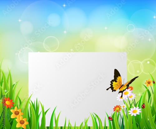 Background Green Grass with butterfly And paper