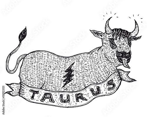 Hand drawn Taurus horoscope sign with banner