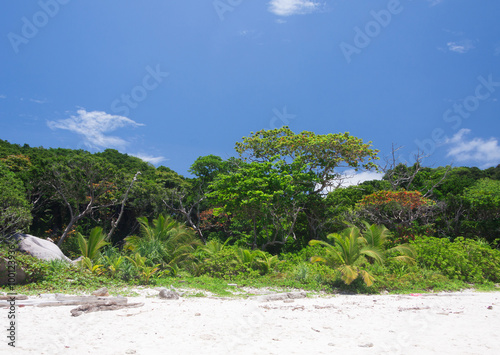 Tropical white sand beach © teerapon1979