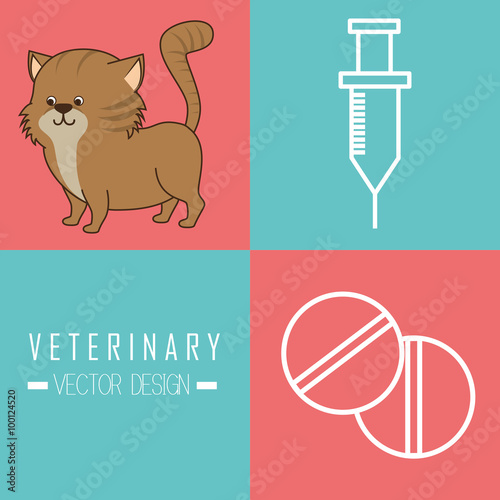 Veterinary clinic healthcare  photo