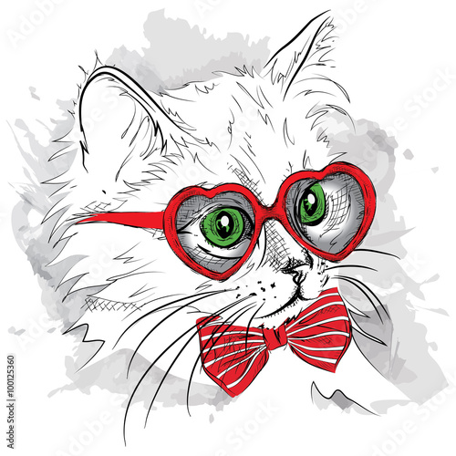 Picture of a cat with the heart shaped glasses.  Vector illustration.