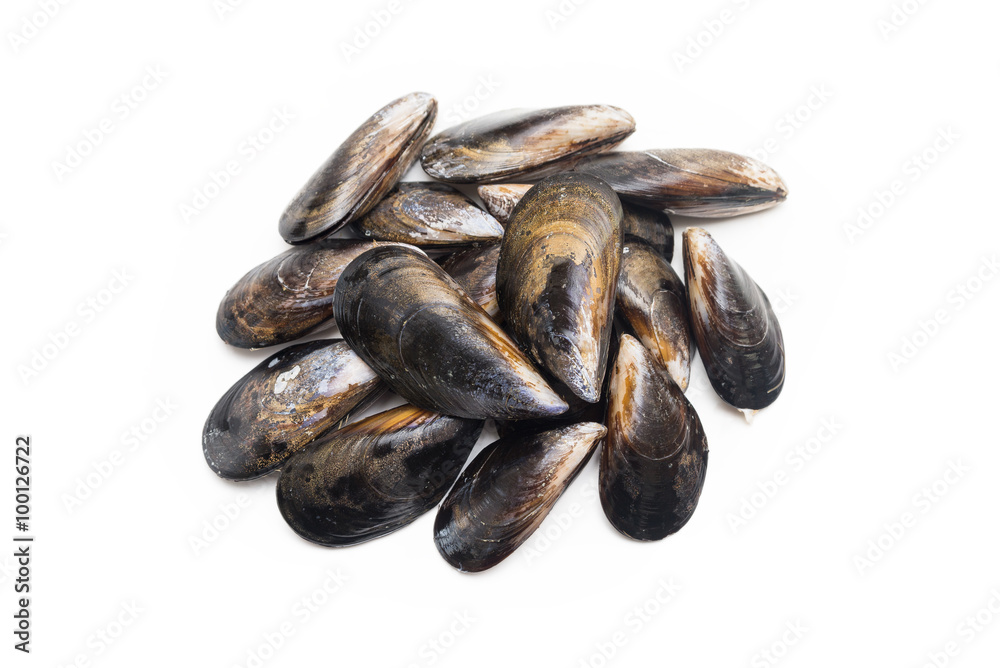 Cozze fresche Cozze fresche