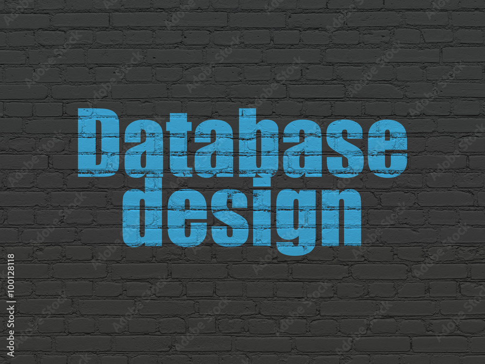 Obraz premium Software concept: Database Design on wall background