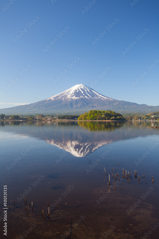 Mountain Fuji with reflection at Lake Kawaguchiko in spring season