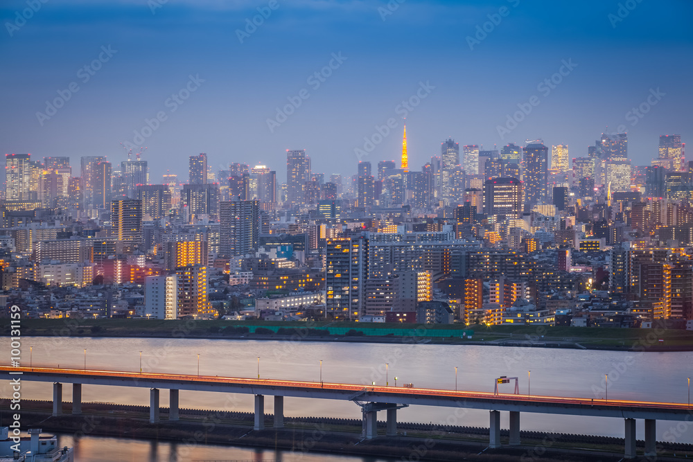 Tokyo city view with Tokyo tower in twilight