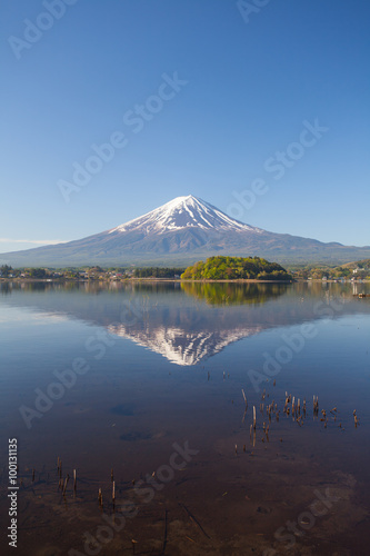 Wallpaper Mural Mountain Fuji with reflection at Lake Kawaguchiko in spring season Torontodigital.ca