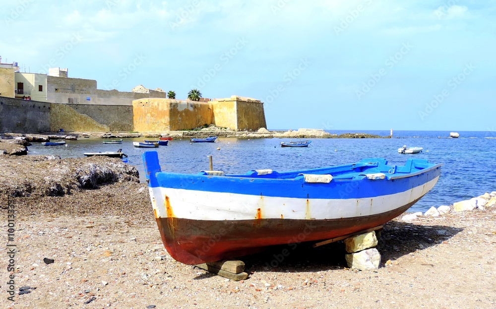 Obraz premium The boat on the seashore