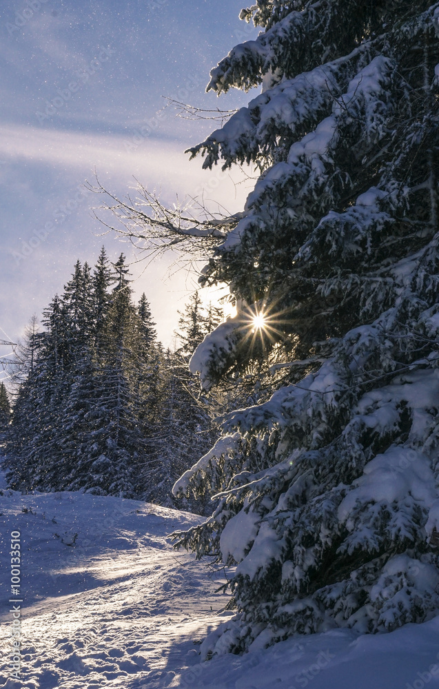 Winterlandschaft