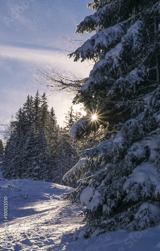 Obraz na płótnie Winterlandschaft w salonie
