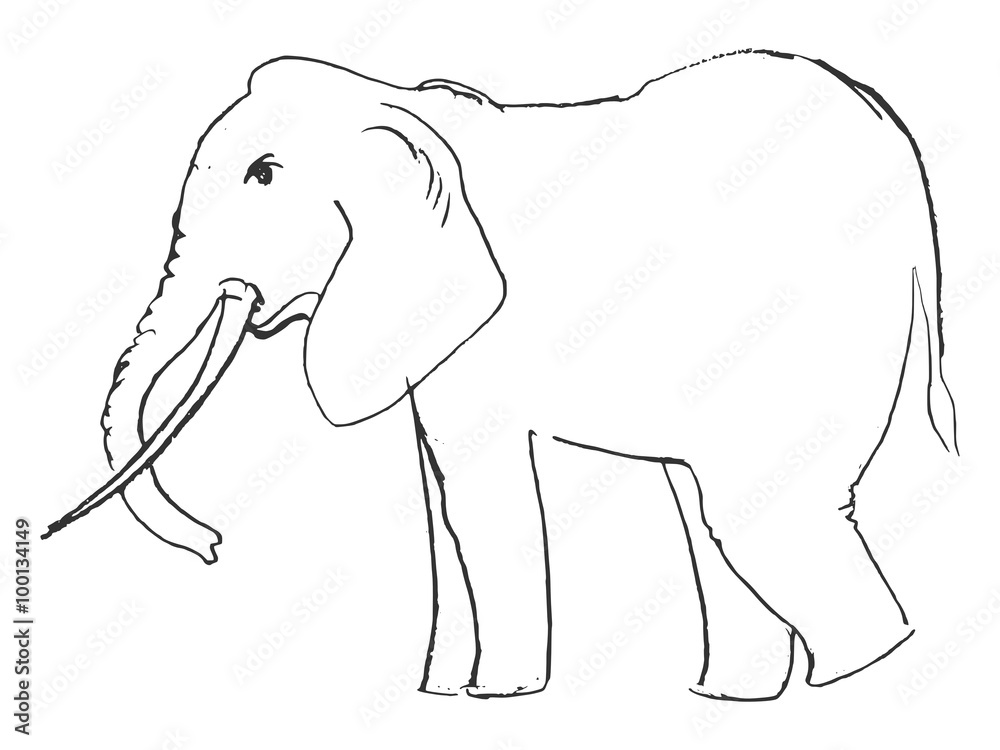 Fototapeta premium hand drawn, grunge, sketch illustration of elephant