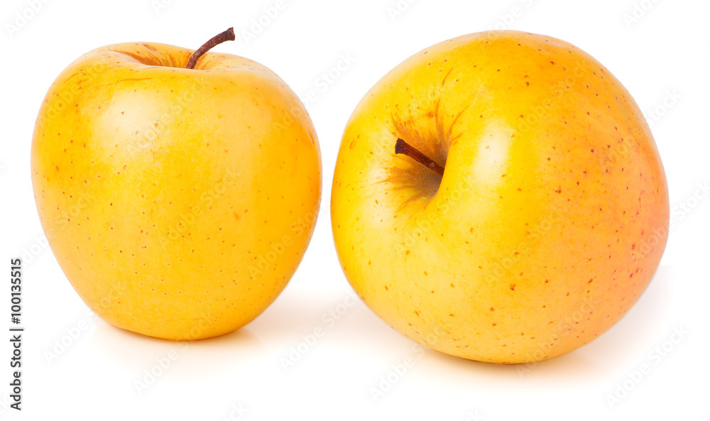two yellow apples isolated on white