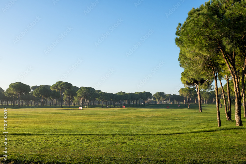 Fototapeta premium playing golf on a golf course