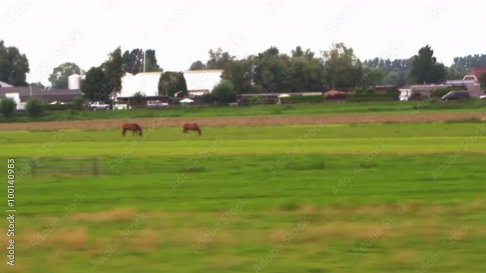 Shot of the Amsterdam countryside from a train Shot of the Amsterdam countryside from a train