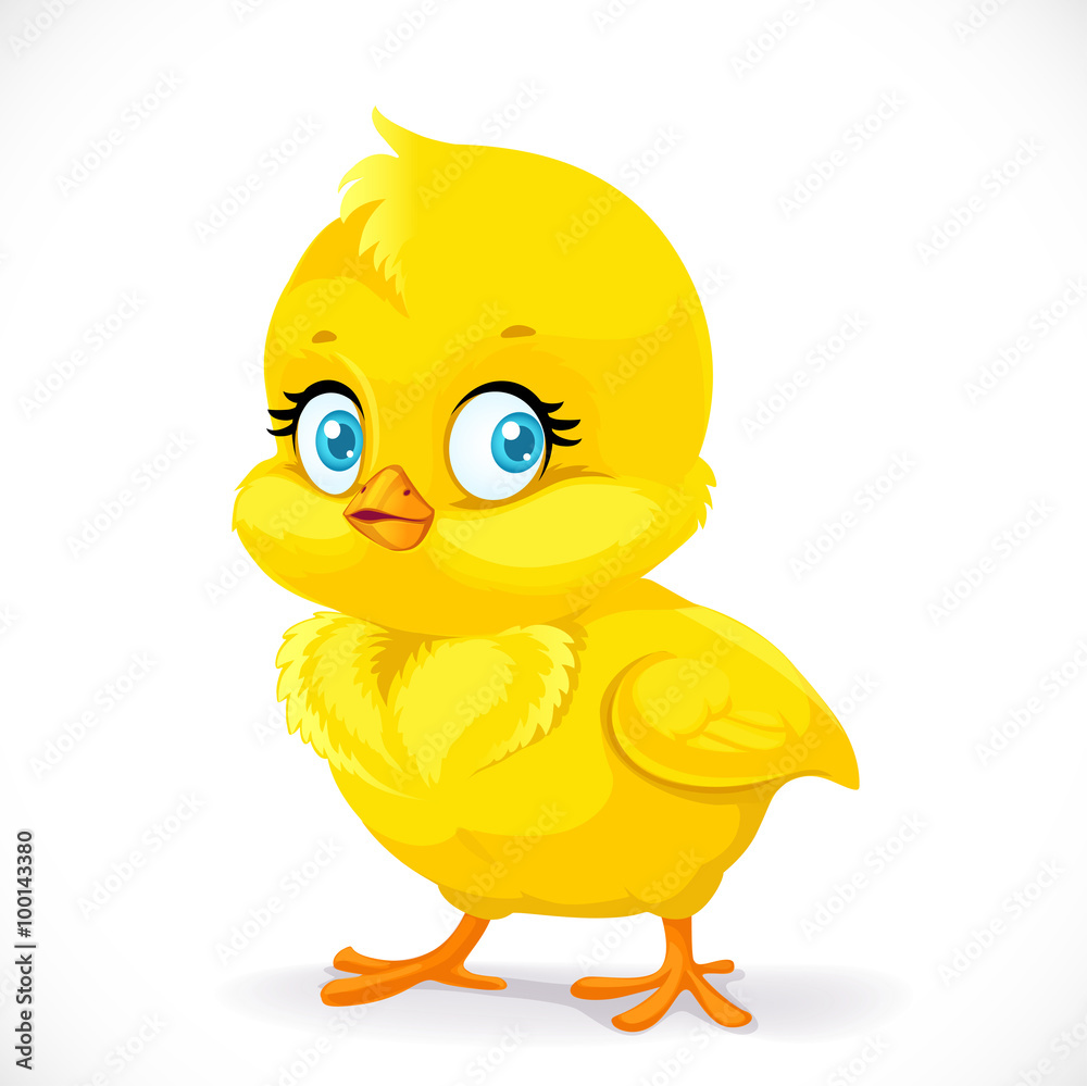 Little cute yellow cartoon chick isolated on a white background