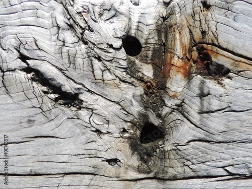 Unusual natural gray wood texture