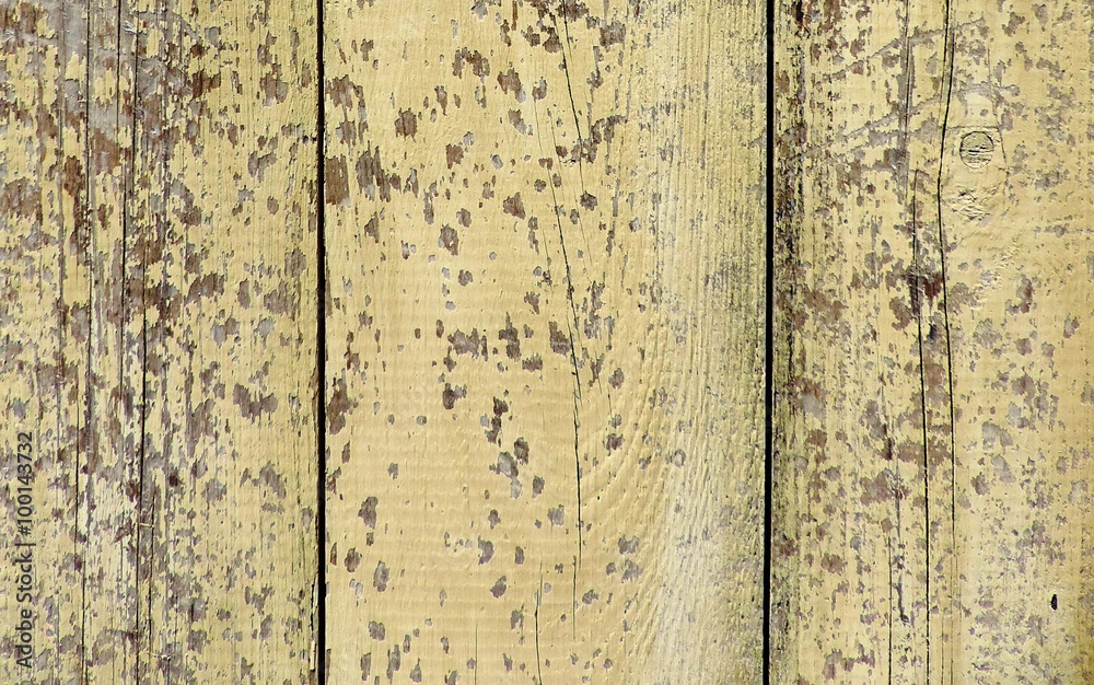 Obraz premium Natural wood texture