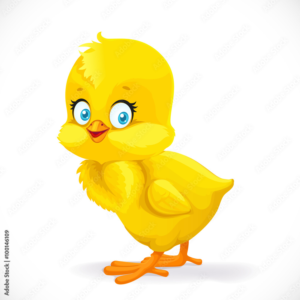Cute yellow cartoon chick isolated on a white background