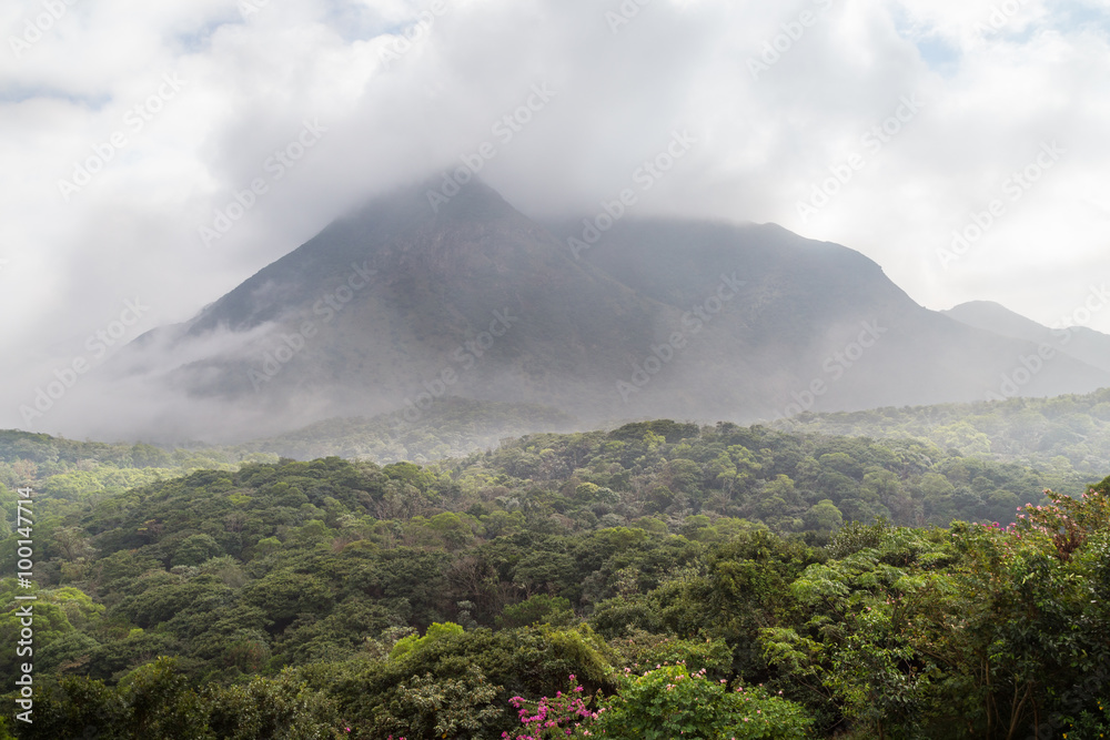 Cloudy view of lush forest and hill at the Lantau Island in Hong Kong, China.