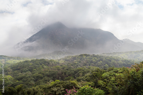 Cloudy view of lush forest and hill at the Lantau Island in Hong Kong, China. © tuomaslehtinen