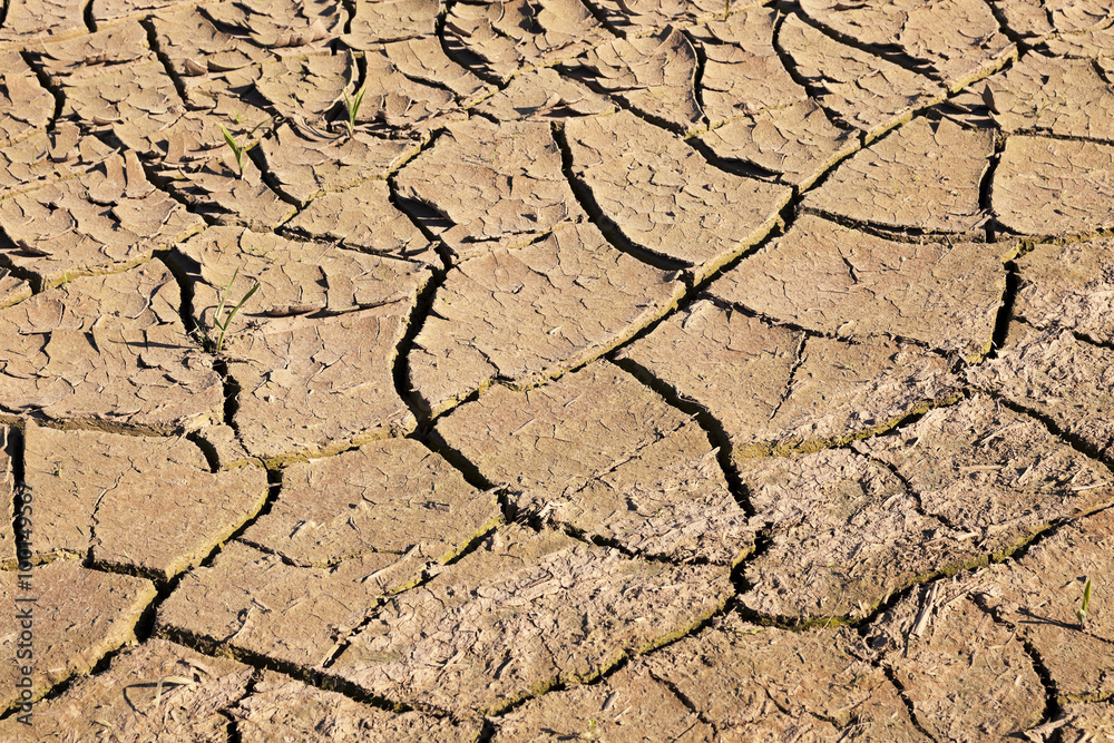 Fototapeta premium cracked earth field 